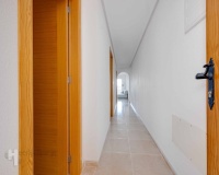Nouvelle construction - Apartment - San Fulgencio