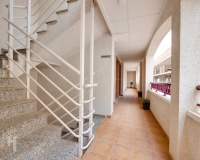 Nouvelle construction - Apartment - San Fulgencio