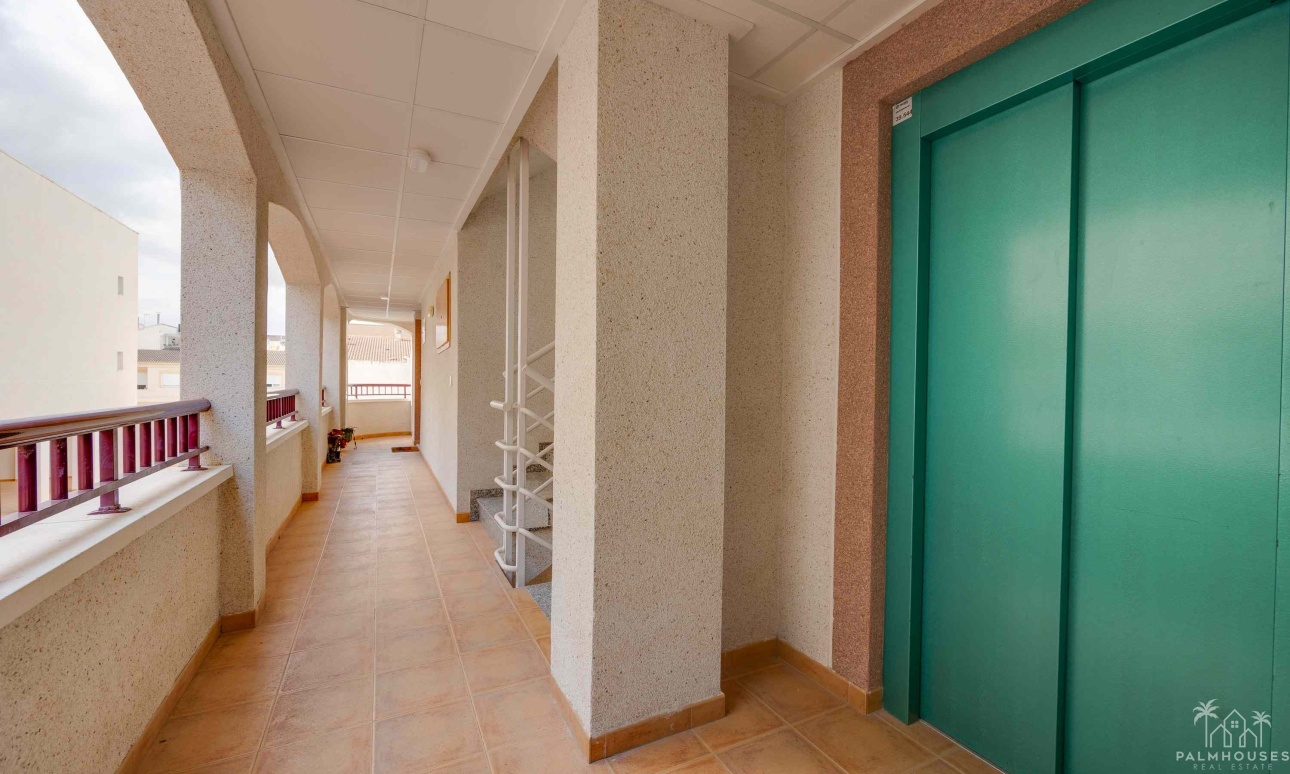 Nouvelle construction - Apartment - San Fulgencio