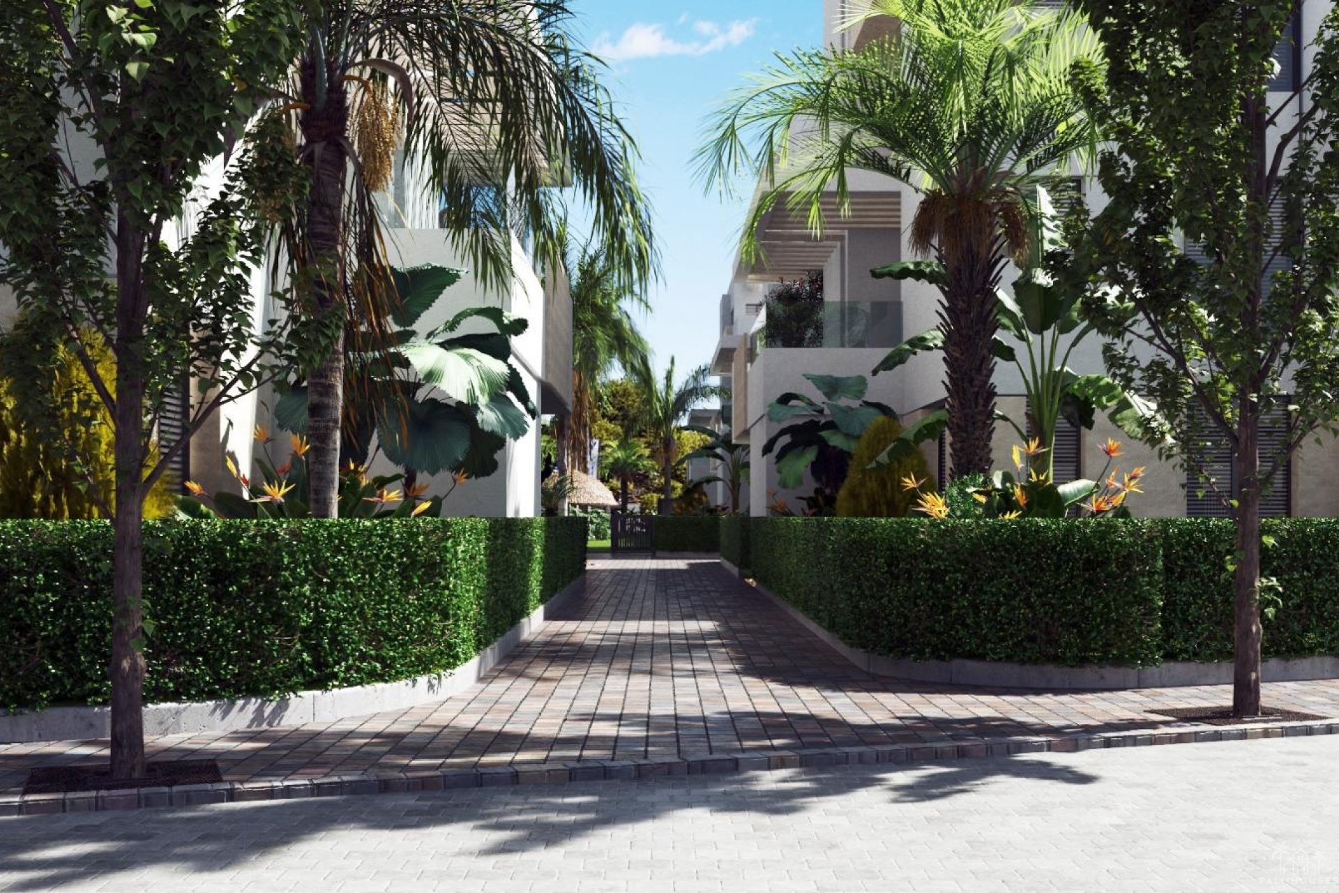Nouvelle construction - Apartment - Santa Rosalía