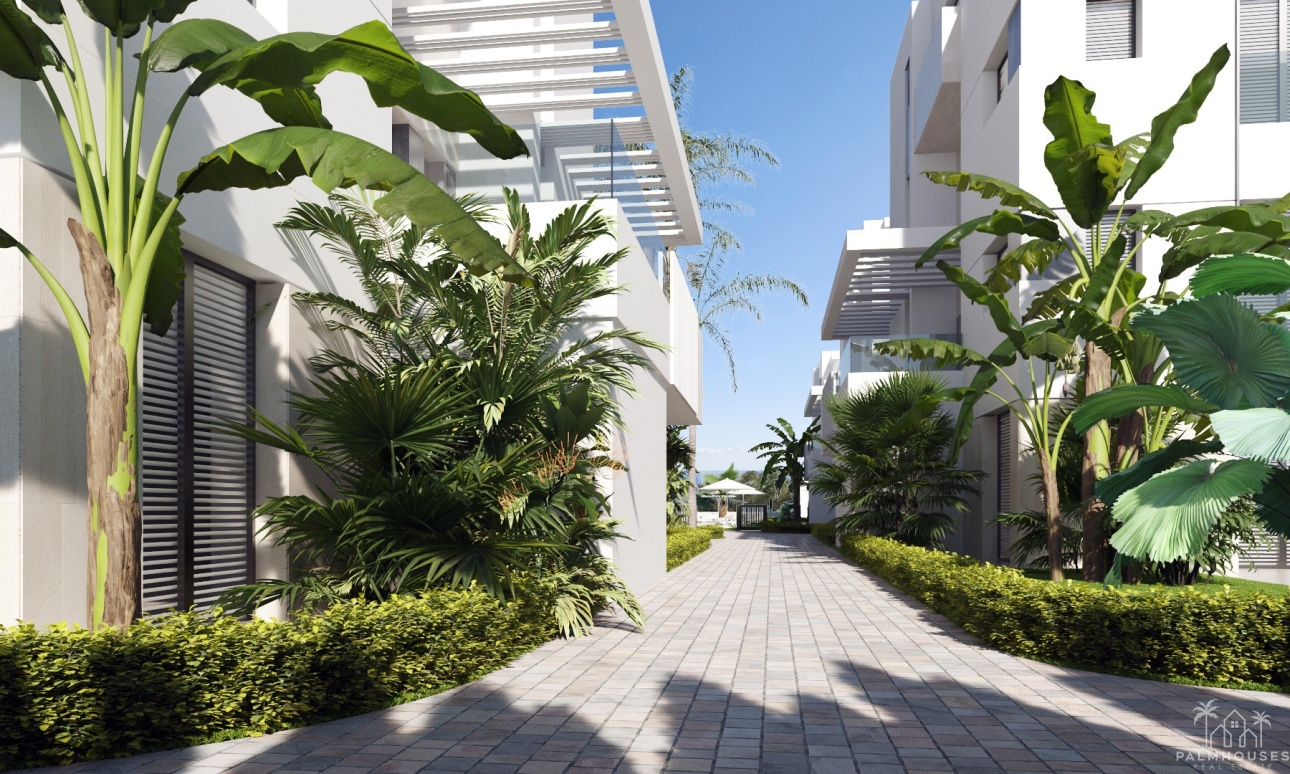 Nouvelle construction - Apartment - Santa Rosalía