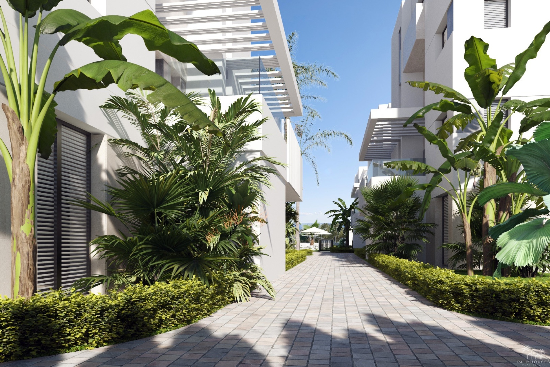 Nouvelle construction - Apartment - Santa Rosalía