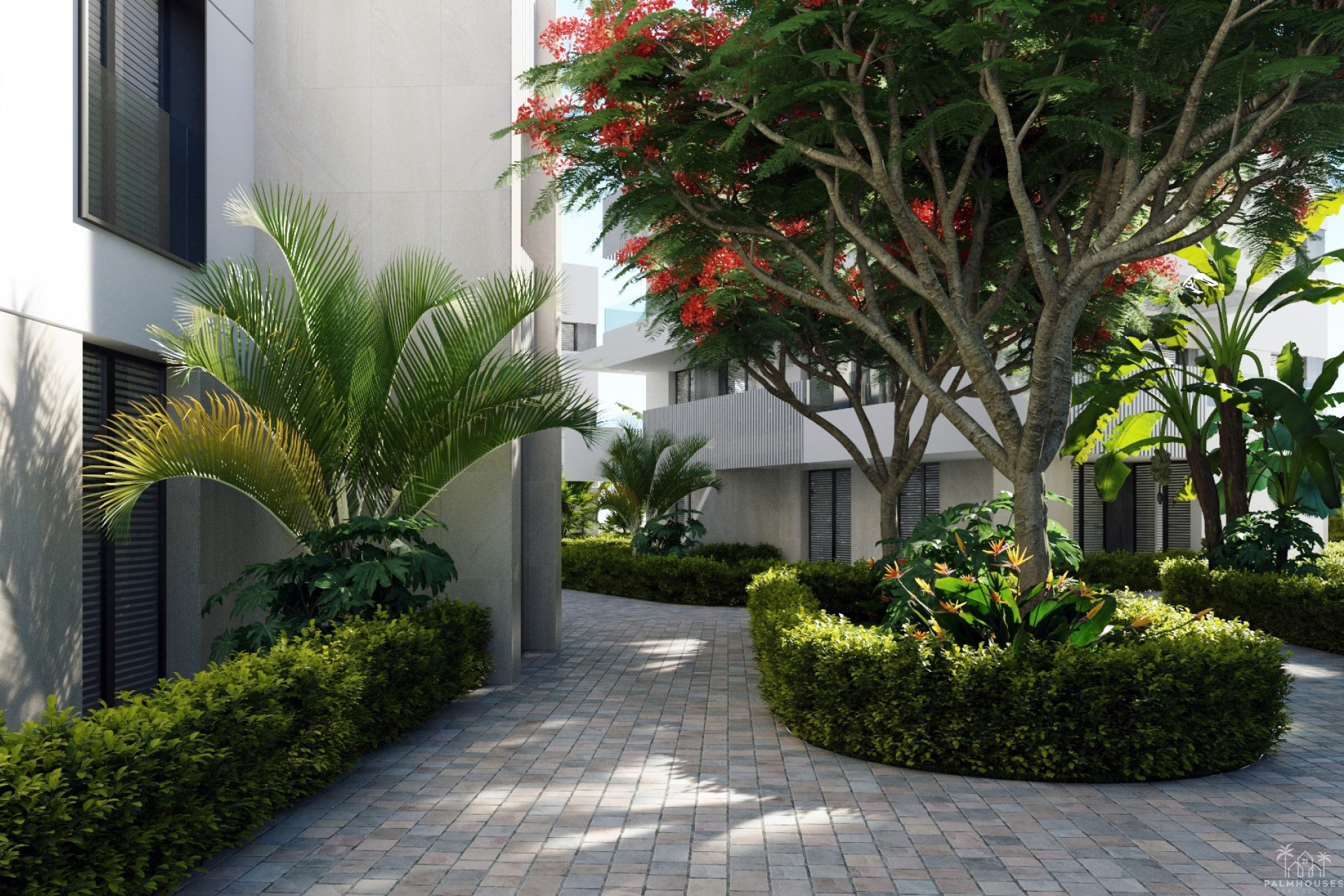 Nouvelle construction - Apartment - Santa Rosalía