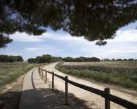Nouvelle construction - Apartment - Torrevieja - Altos del Sol
