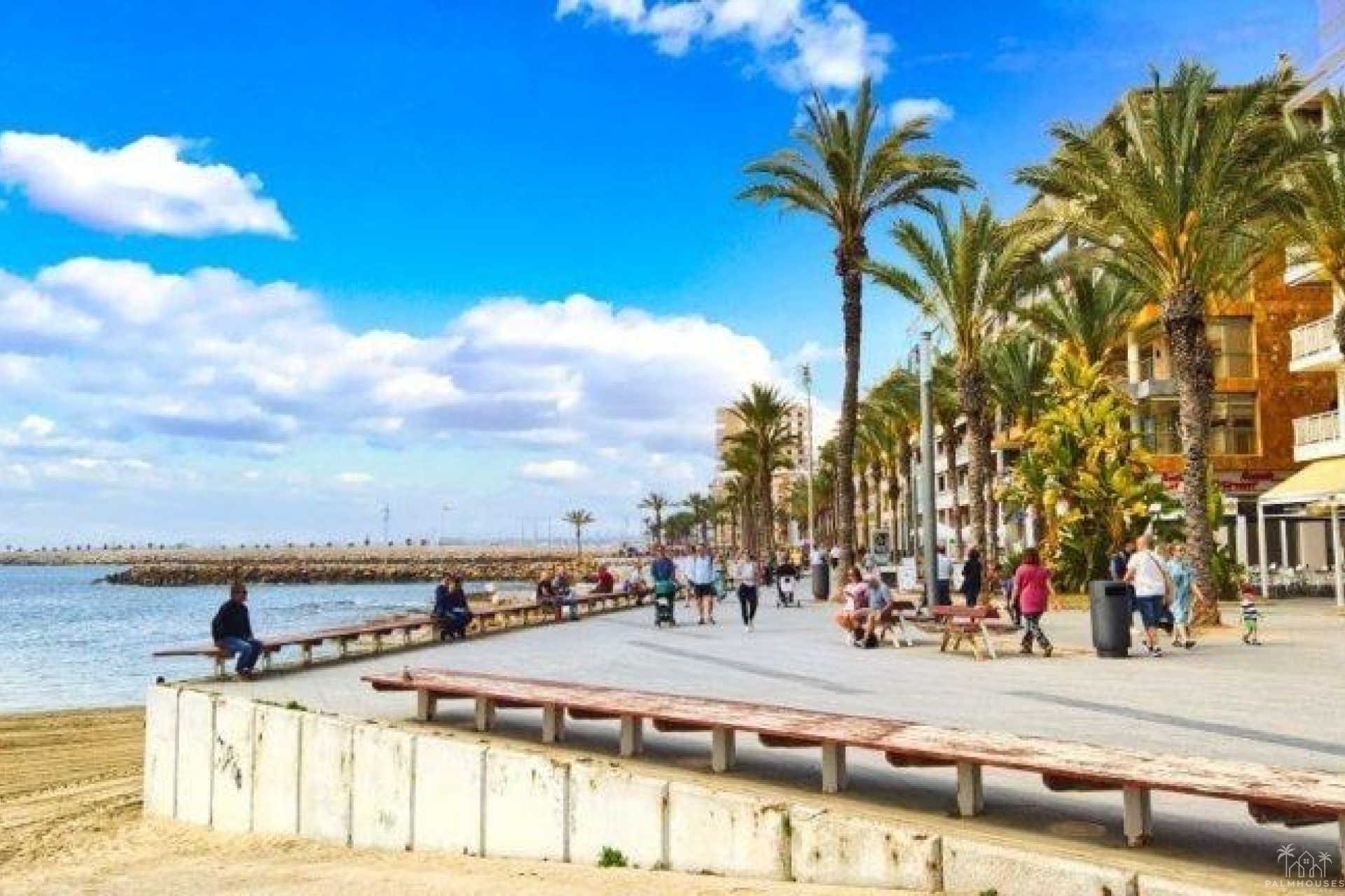 Nouvelle construction - Apartment - Torrevieja - Playa de los Locos