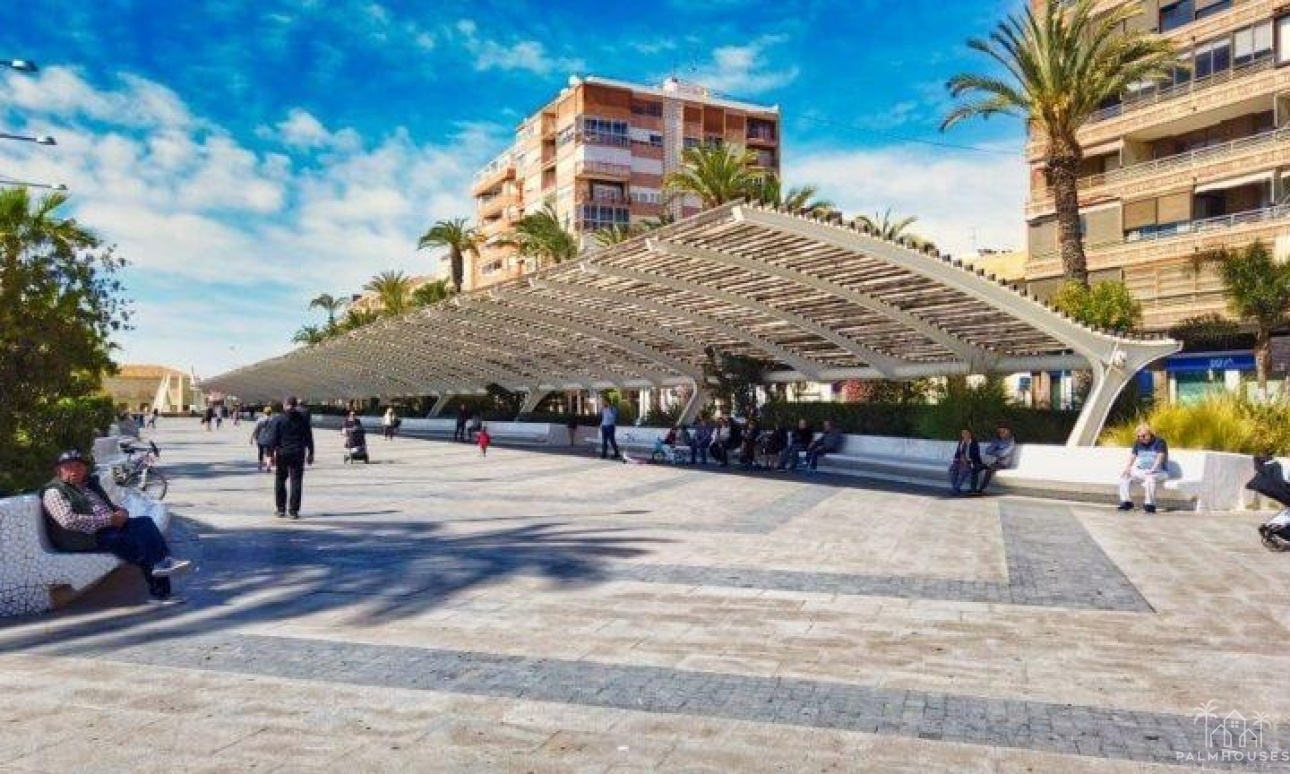 Nouvelle construction - Apartment - Torrevieja - Playa de los Locos