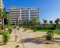Nouvelle construction - Apartment - Torrevieja - Punta Prima