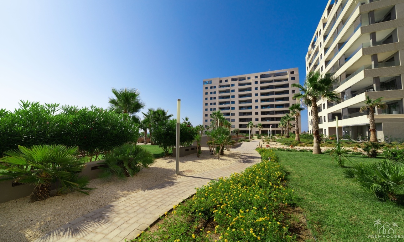 Nouvelle construction - Apartment - Torrevieja - Punta Prima
