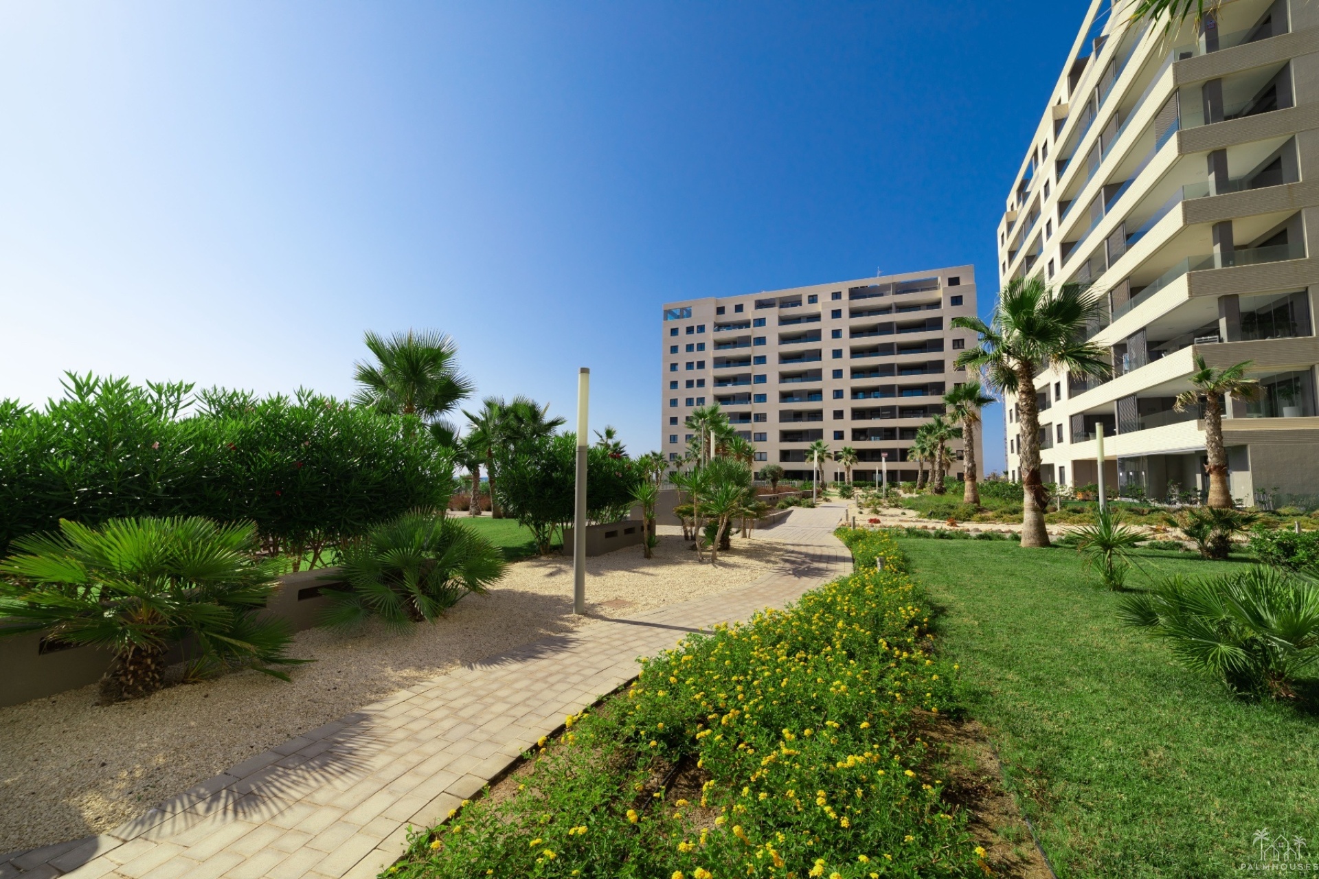 Nouvelle construction - Apartment - Torrevieja - Punta Prima