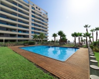 Nouvelle construction - Apartment - Torrevieja - Punta Prima