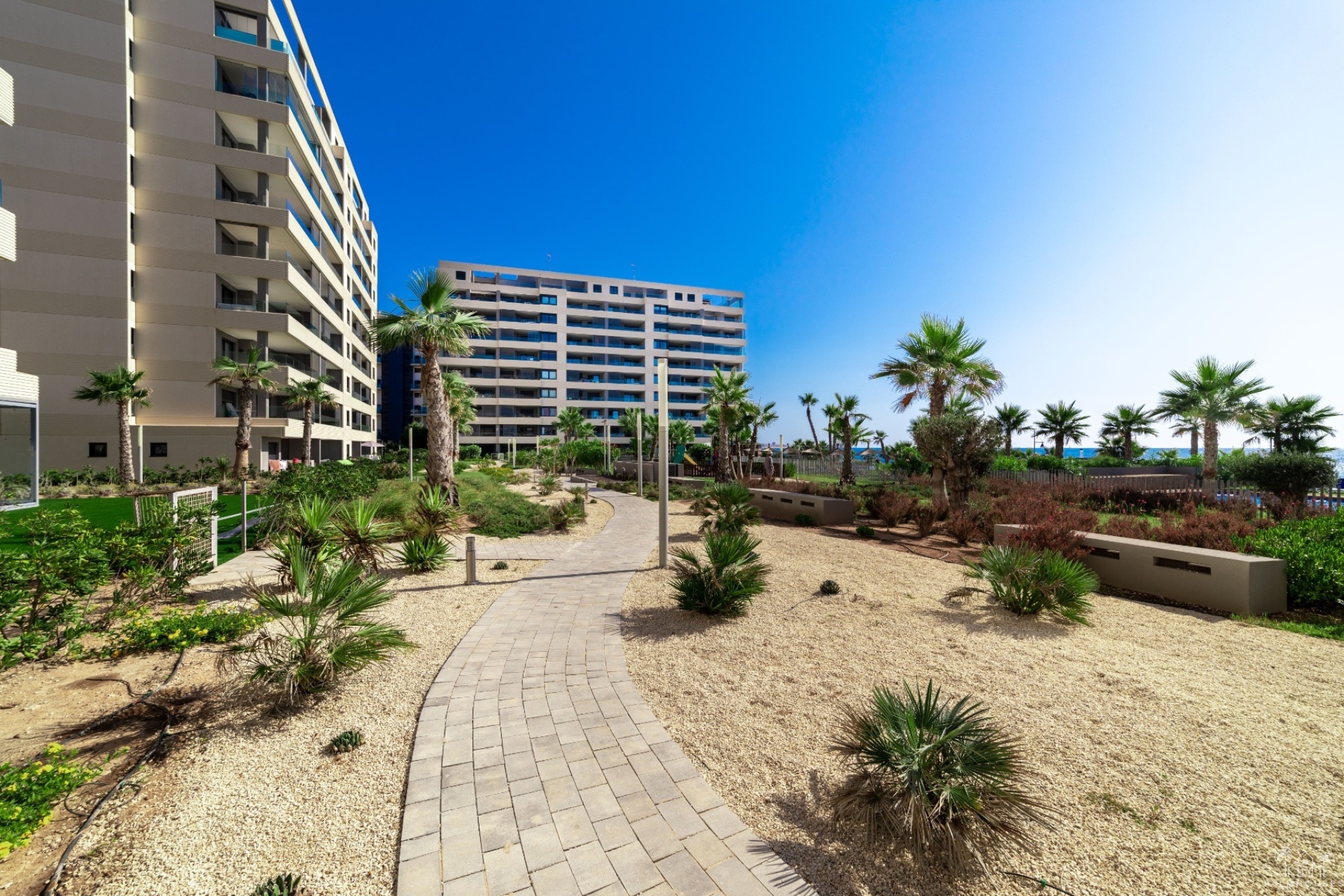 Nouvelle construction - Apartment - Torrevieja - Punta Prima