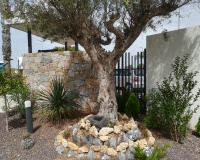 Nouvelle construction - Apartment - Torrevieja