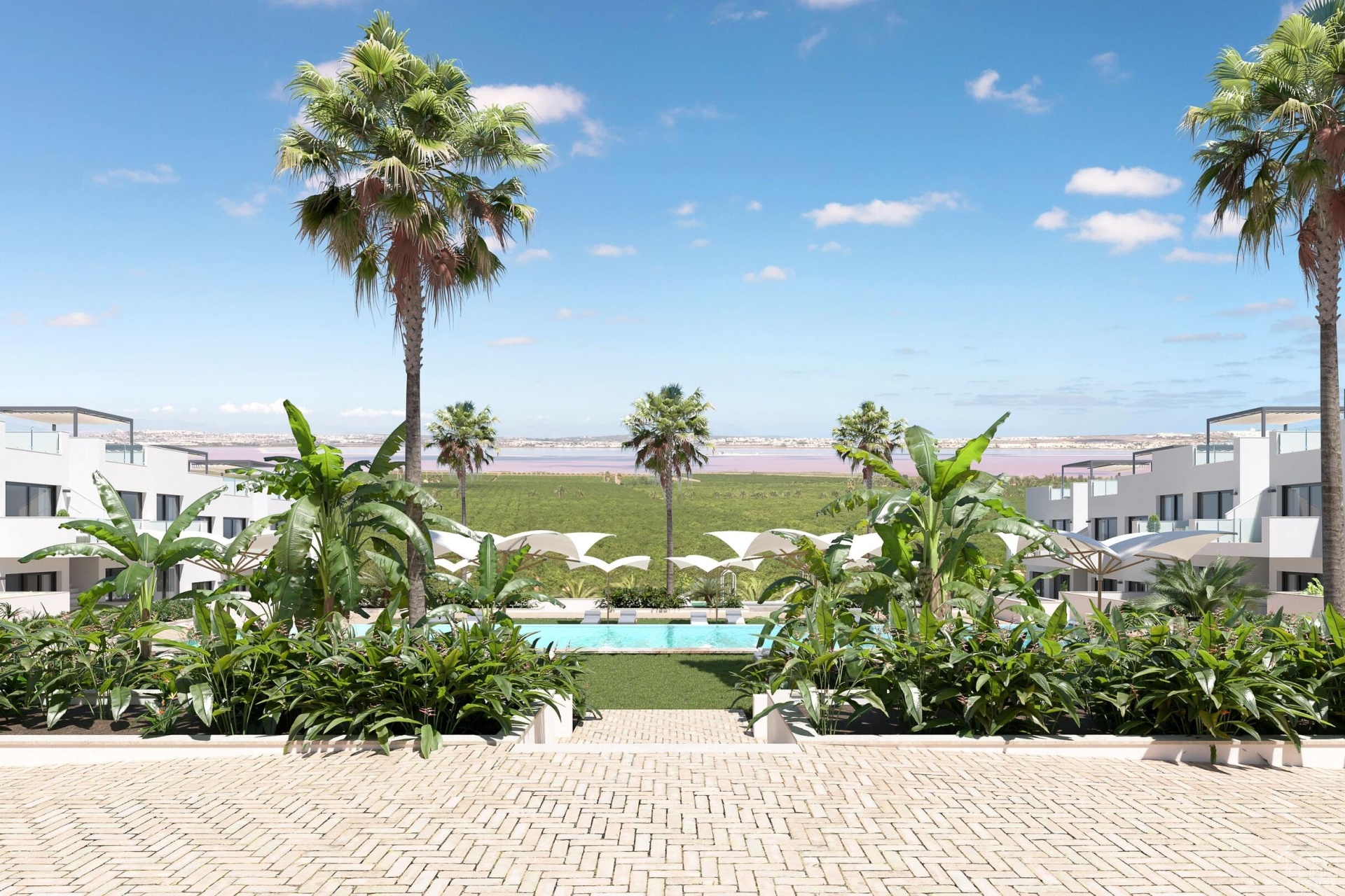 Nouvelle construction - Apartment - Torrevieja