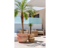 Nouvelle construction - Maison - Dolores - Sector 3