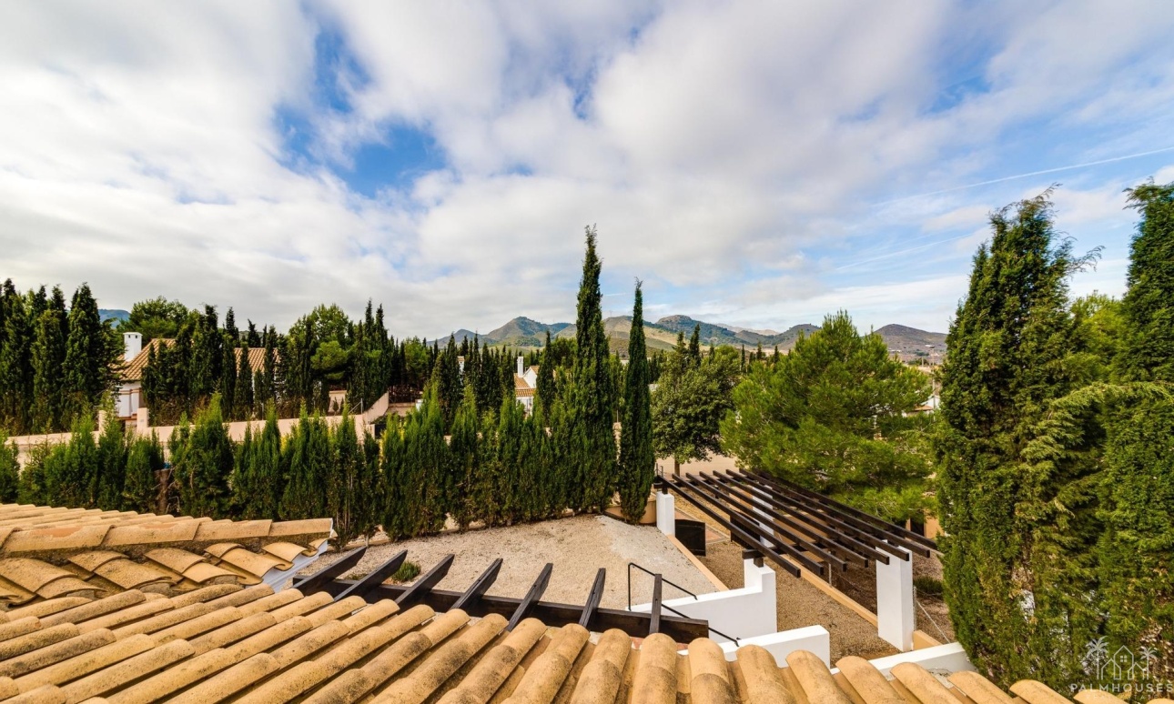 Nouvelle construction - Maison - Fuente Álamo - Las Palas