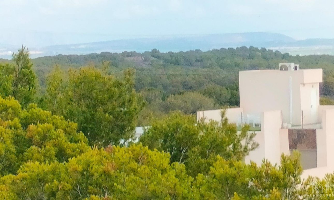 Nouvelle construction - Maison - Orihuela Costa - PAU 26