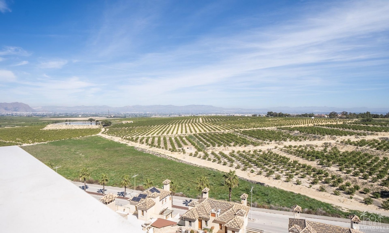 Nouvelle construction - Villa - Algorfa - La Finca Golf
