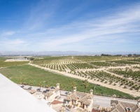 Nouvelle construction - Villa - Algorfa - La Finca Golf