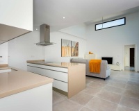 Nouvelle construction - Villa - Alicante - Daya Nueva