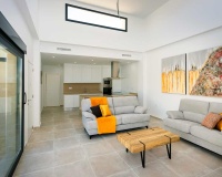 Nouvelle construction - Villa - Alicante - Daya Nueva