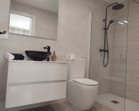 Nouvelle construction - Villa - Balsicas