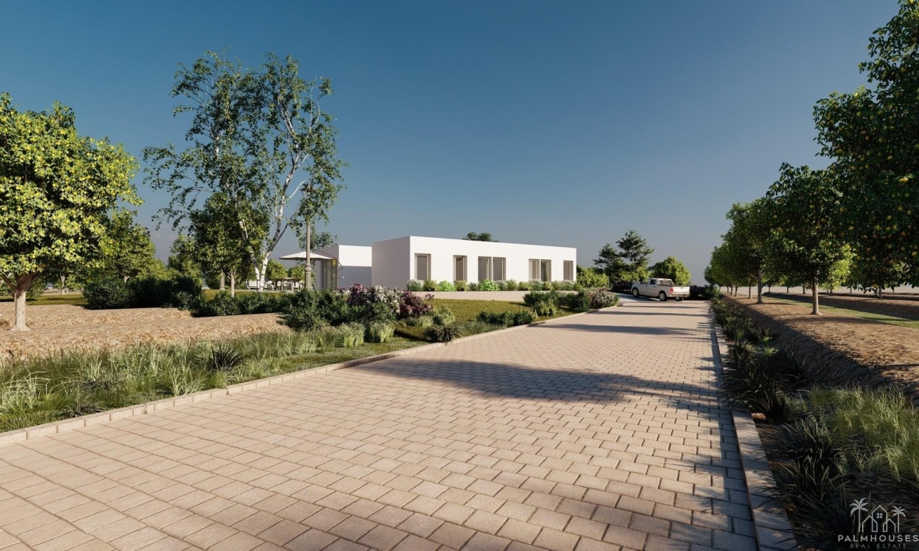 Nouvelle construction - Villa - Benejuzar - alta