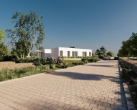 Nouvelle construction - Villa - Benejuzar - alta
