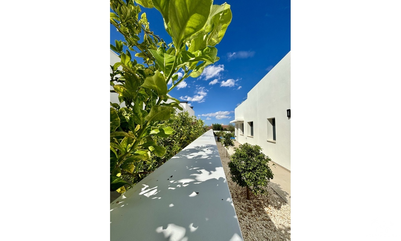 Nouvelle construction - Villa - Benijofar