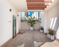 Nouvelle construction - Villa - Ciudad Quesada