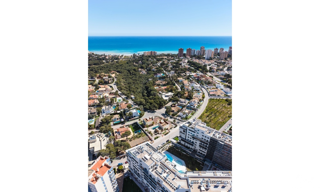 Nouvelle construction - Villa - Dehesa De Campoamor