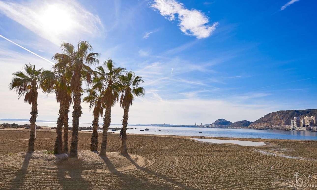 Nouvelle construction - Villa - Denia - Els Poblets