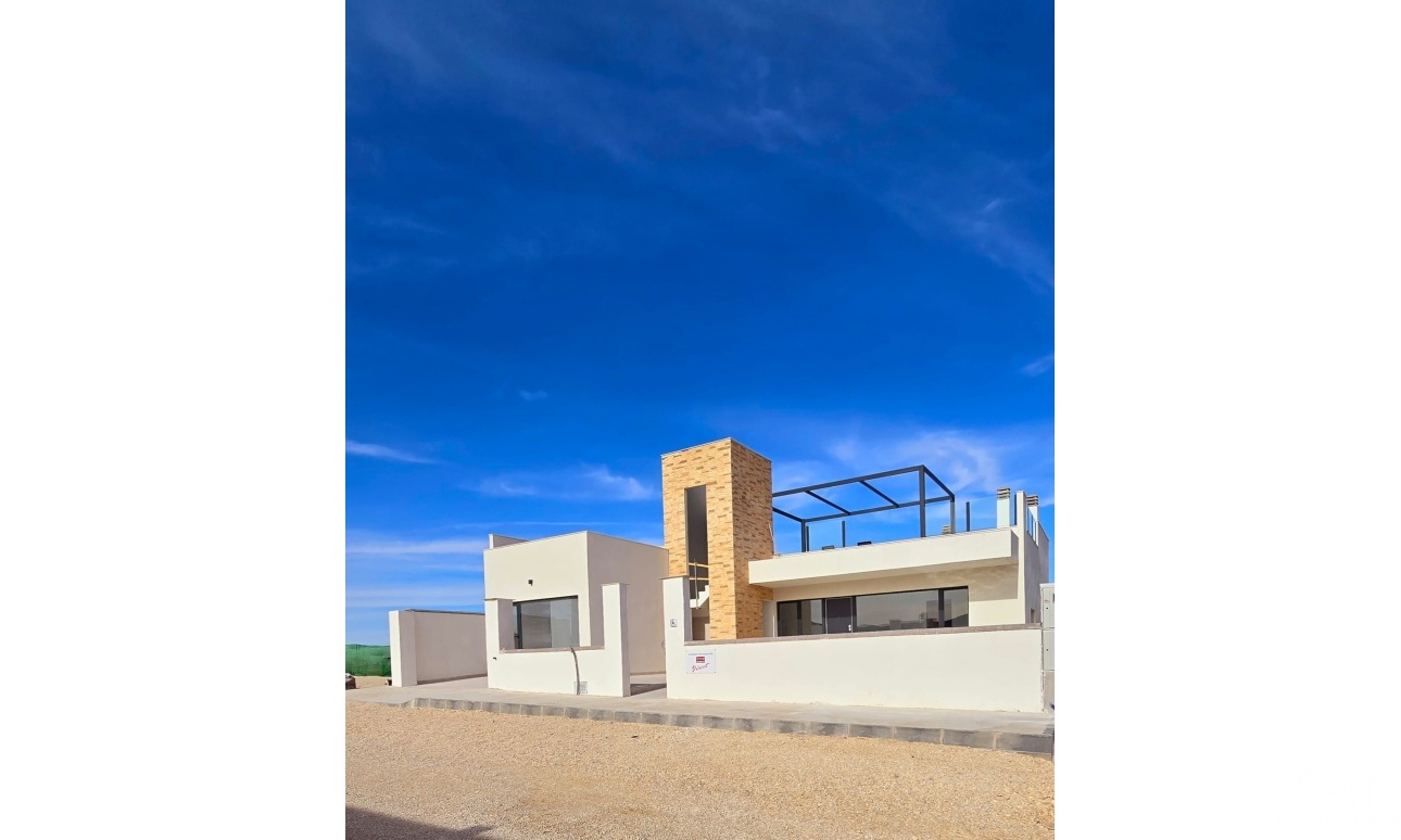 Nouvelle construction - Villa - Fuente Álamo - Fuente Alamo