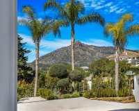 Nouvelle construction - Villa - Marbella