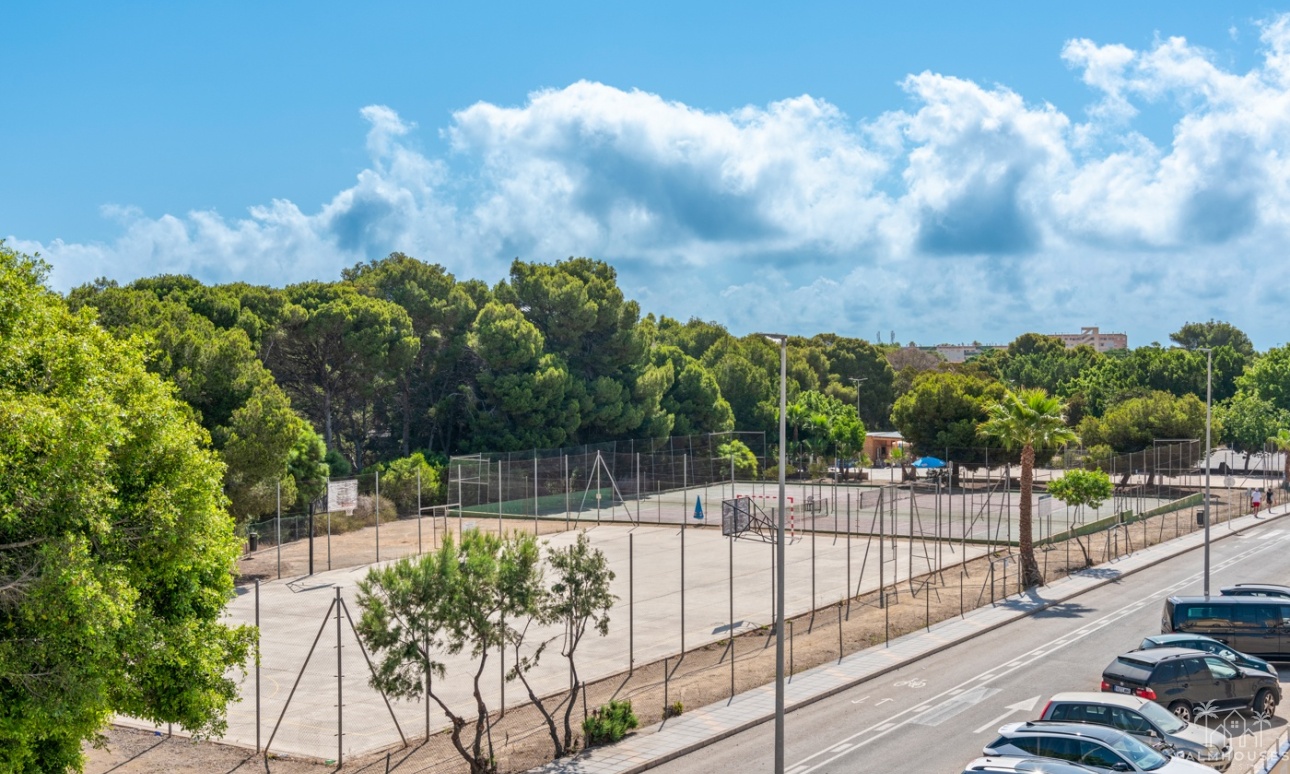 Nouvelle construction - Villa - Mil Palmeras