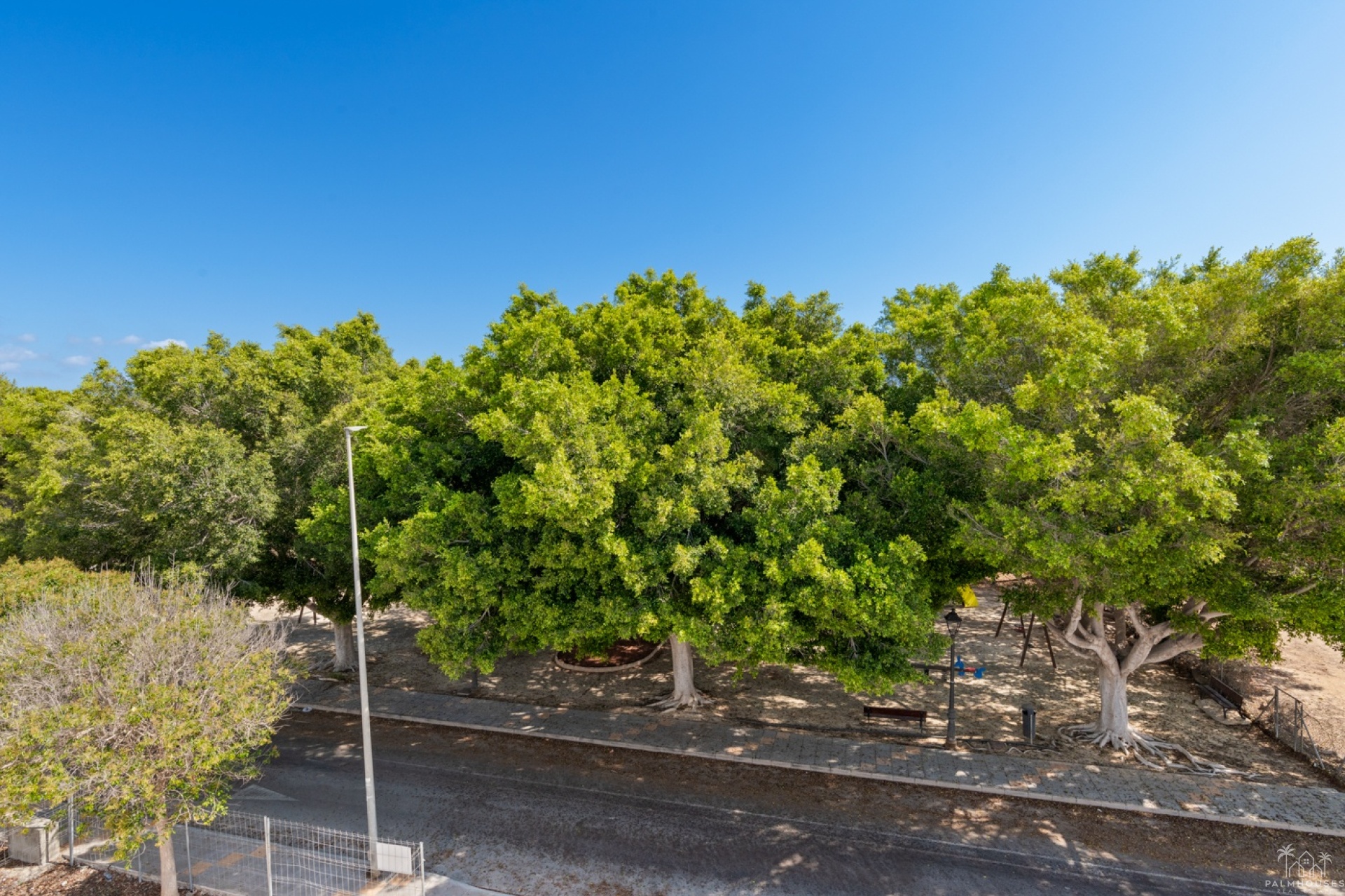 Nouvelle construction - Villa - Mil Palmeras