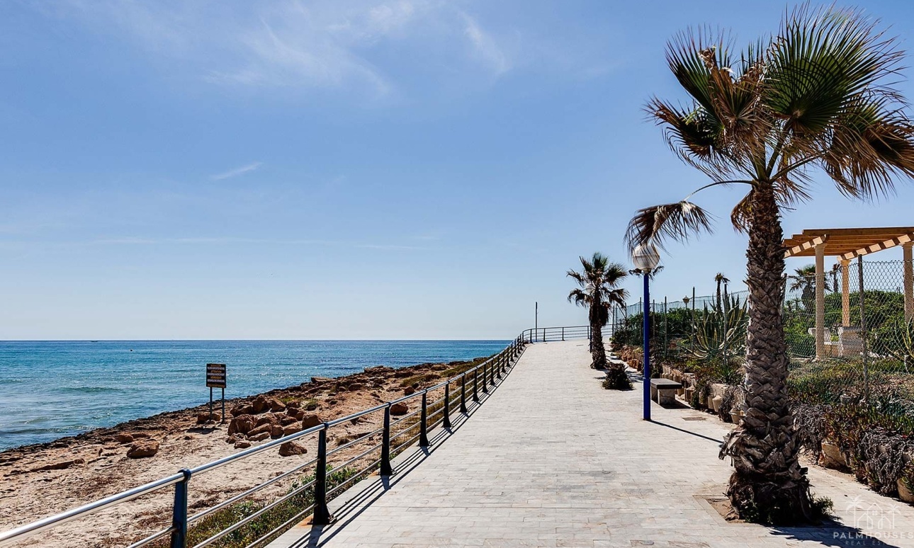 Nouvelle construction - Villa - Orihuela Costa - La Zenia