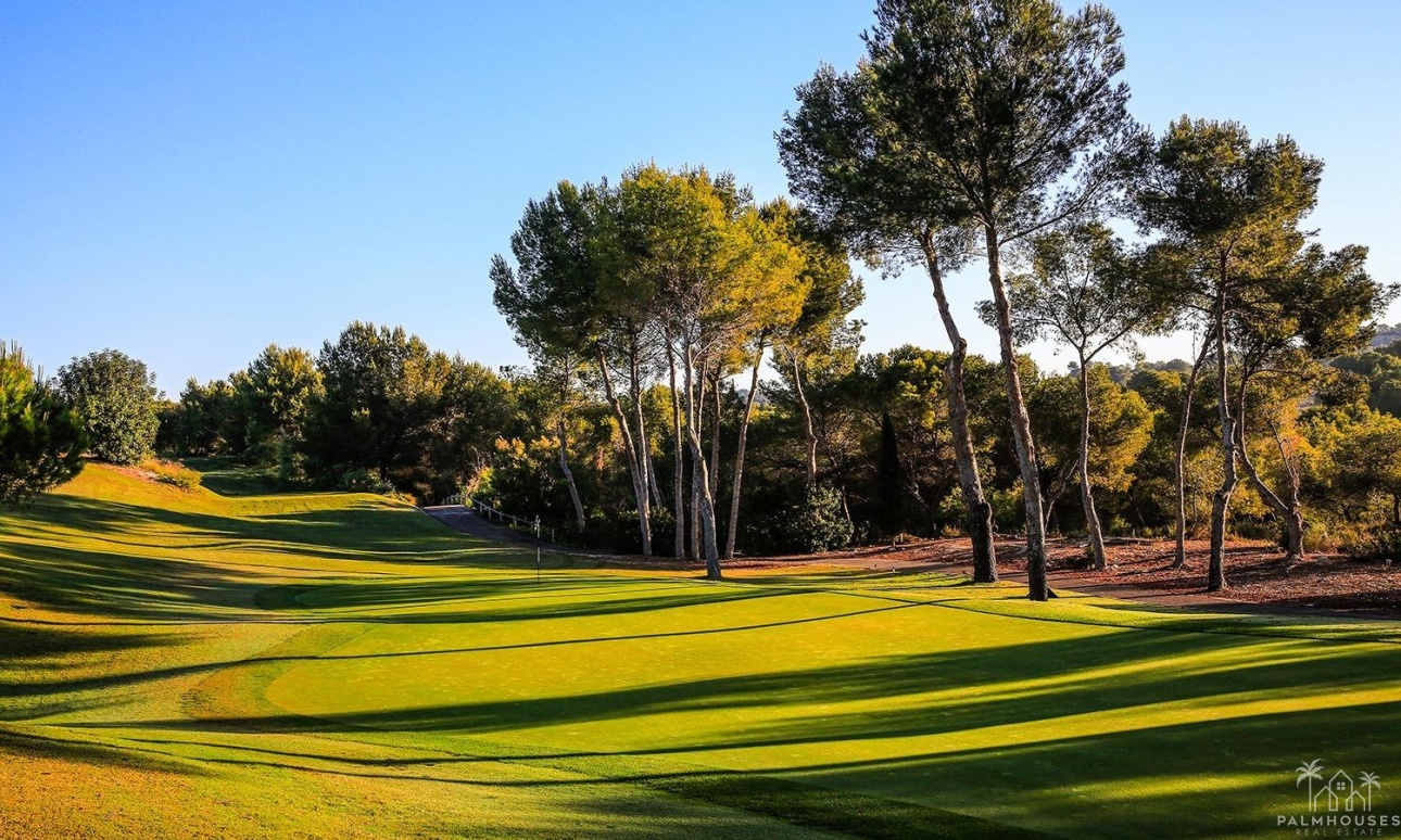 Nouvelle construction - Villa - Orihuela - Las Colinas