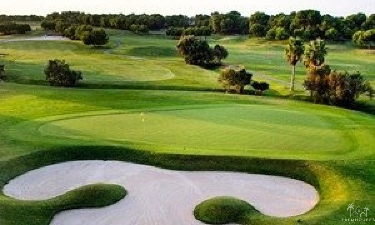 Nouvelle construction - Villa - Pilar de La Horadada - Lo Romero Golf