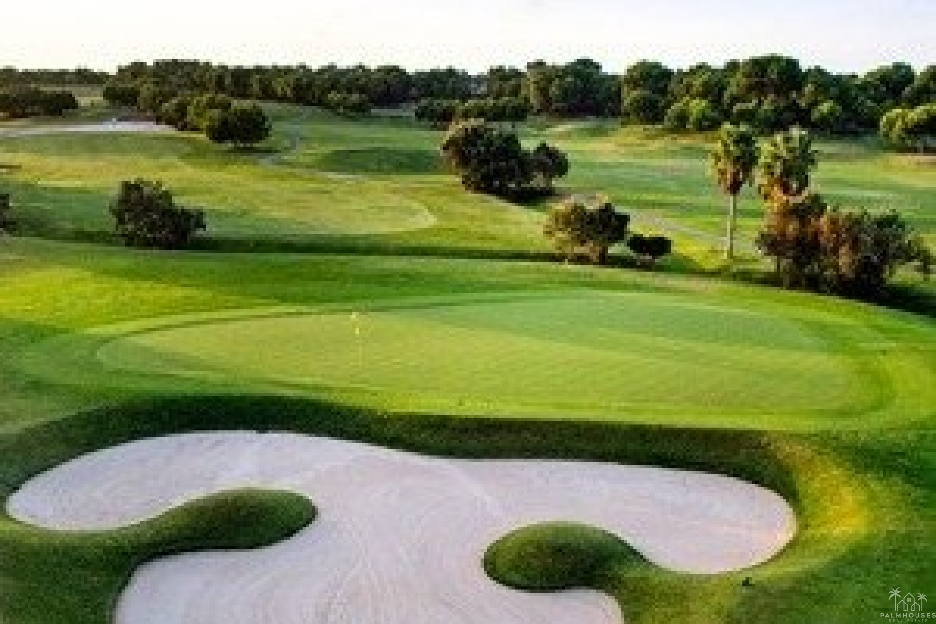 Nouvelle construction - Villa - Pilar de La Horadada - Lo Romero Golf