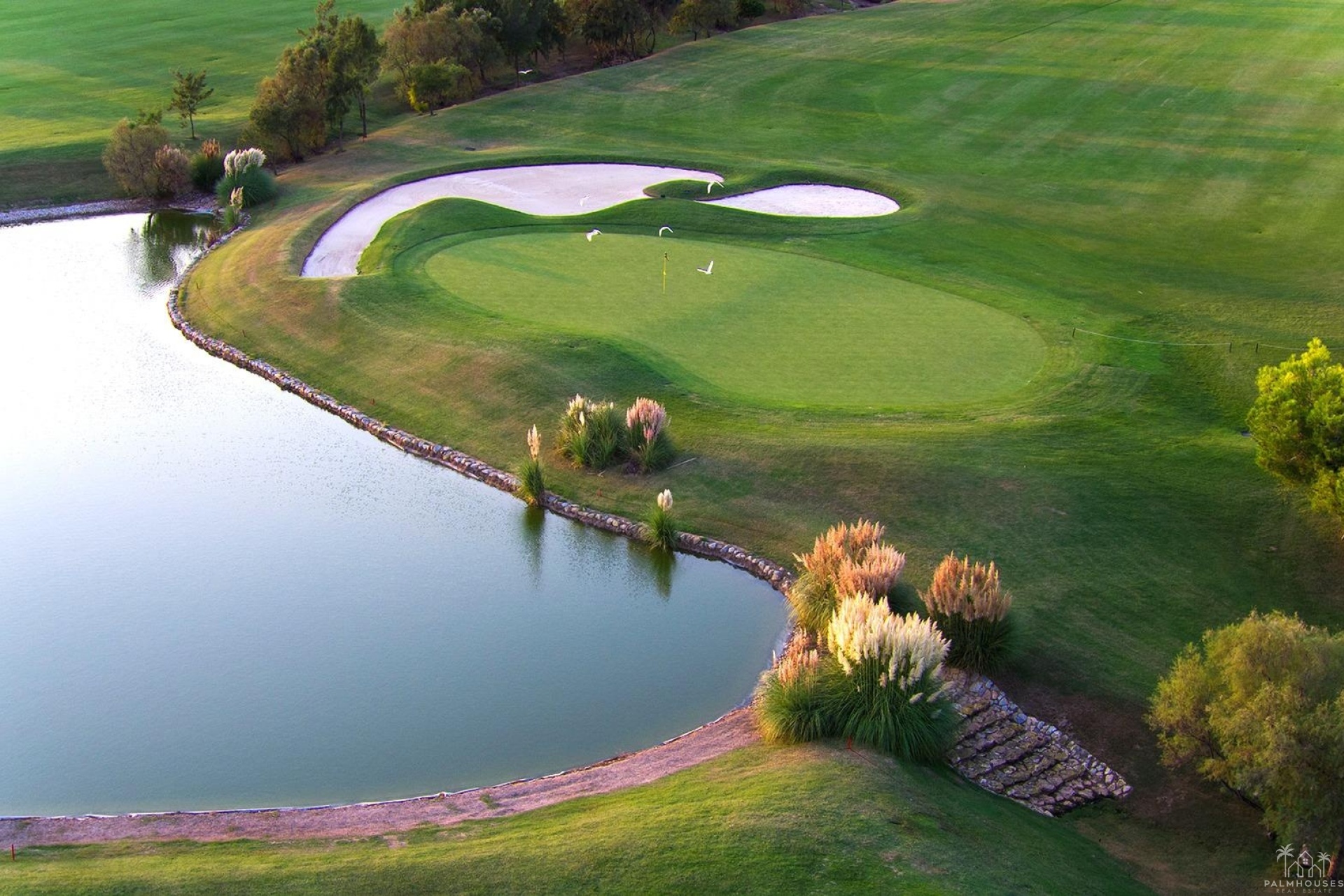 Nouvelle construction - Villa - Pilar de La Horadada - Lo Romero Golf