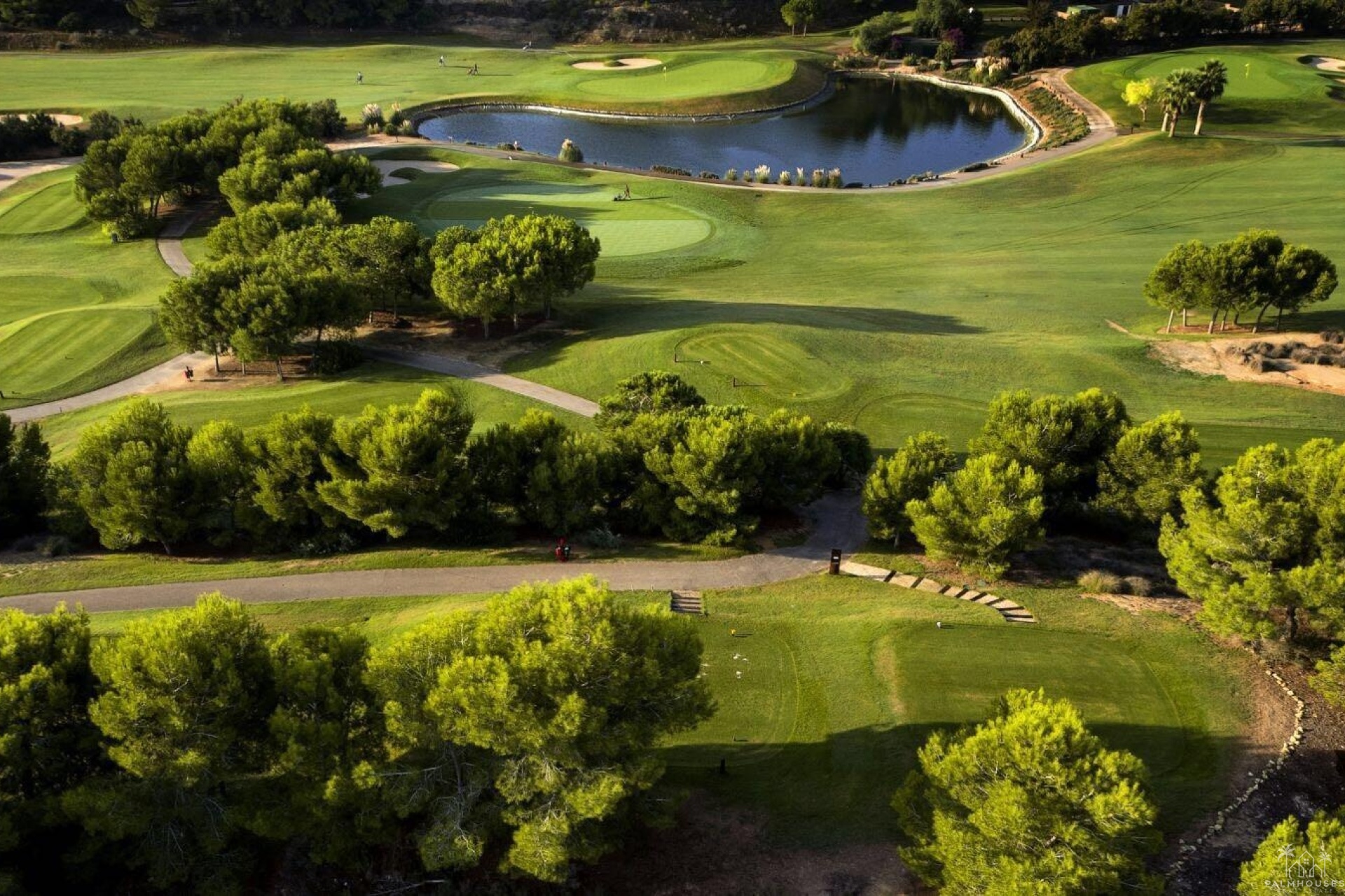 Nouvelle construction - Villa - Pilar de La Horadada - Lo Romero Golf
