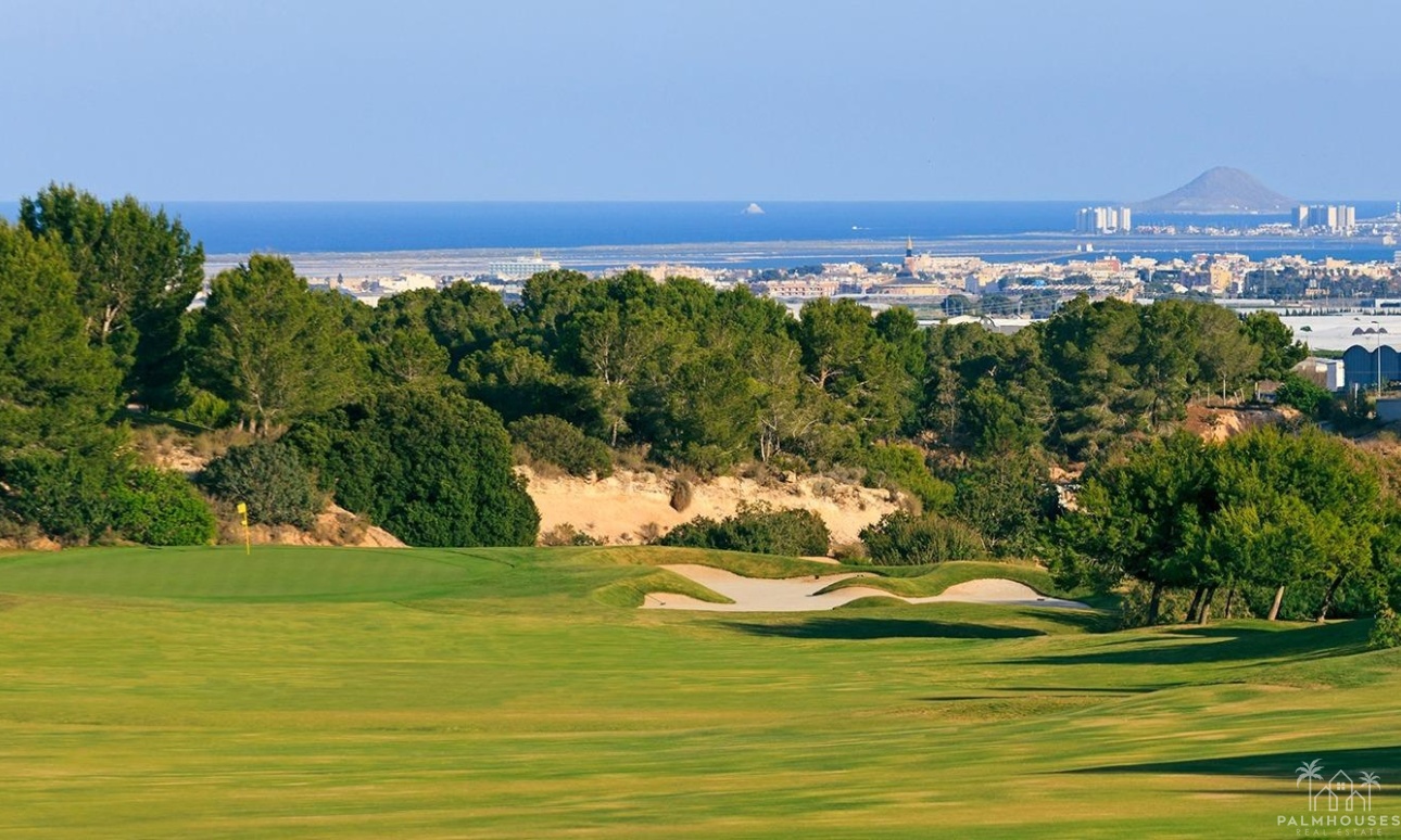 Nouvelle construction - Villa - Pilar de La Horadada - Lo Romero Golf