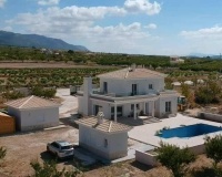 Nouvelle construction - Villa - Pinoso - Camino Del Prado