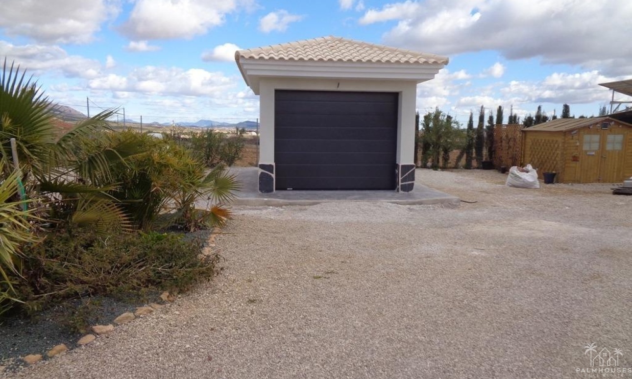 Nouvelle construction - Villa - Pinoso - Camino Del Prado