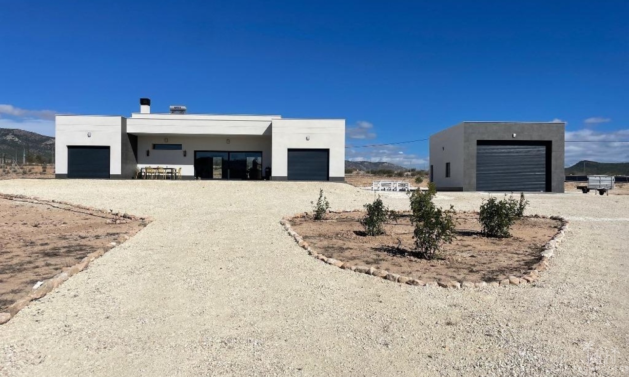 Nouvelle construction - Villa - Pinoso - Camino Del Prado