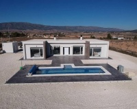 Nouvelle construction - Villa - Pinoso - Camino Del Prado