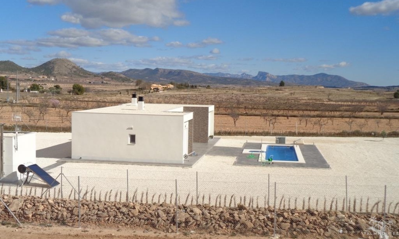 Nouvelle construction - Villa - Pinoso - Camino Del Prado