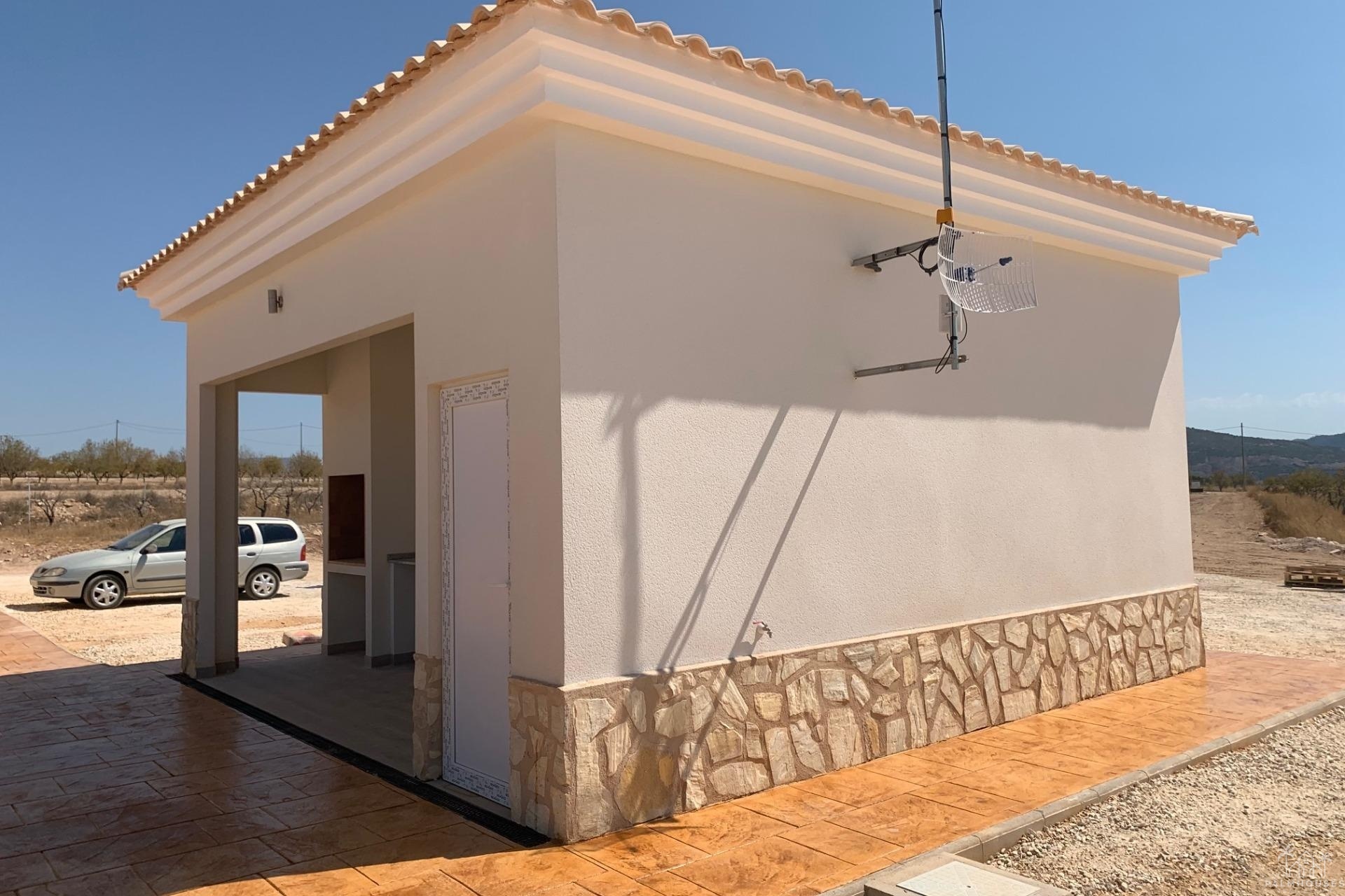 Nouvelle construction - Villa - Pinoso - Camino Del Prado