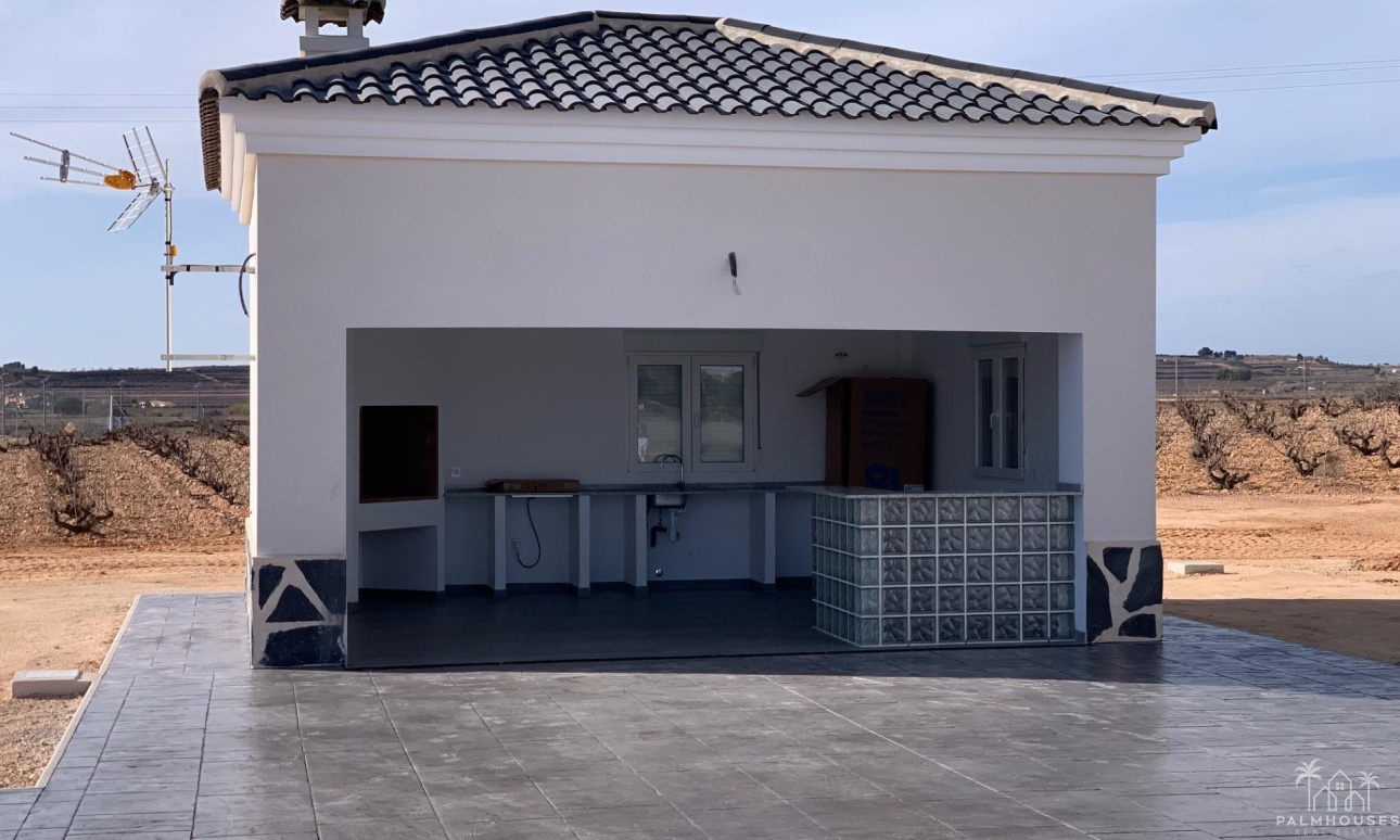 Nouvelle construction - Villa - Pinoso - Camino Del Prado