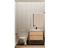 Nouvelle construction - Villa - Pinoso - Lel